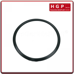 Dichtung Sumpfschacht 2