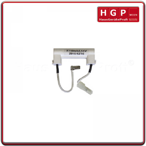 Hochspannungssicherung H.V....