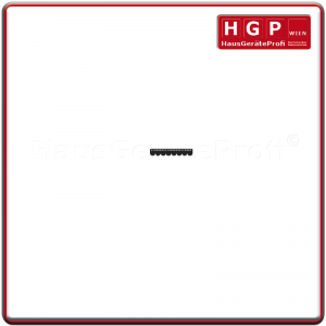 Poly-V-Riemen 1243 H8